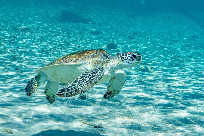 Island Treasures: Caves, Turtles and Turquoise Beach Break - The Real Deal: Is It Worth It?