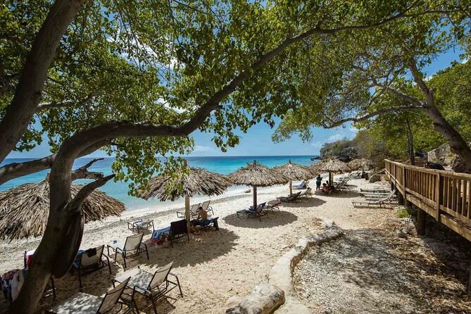 Island Treasures: Caves, Turtles and Turquoise Beach Break - Authentic Experiences and Guest Perspectives