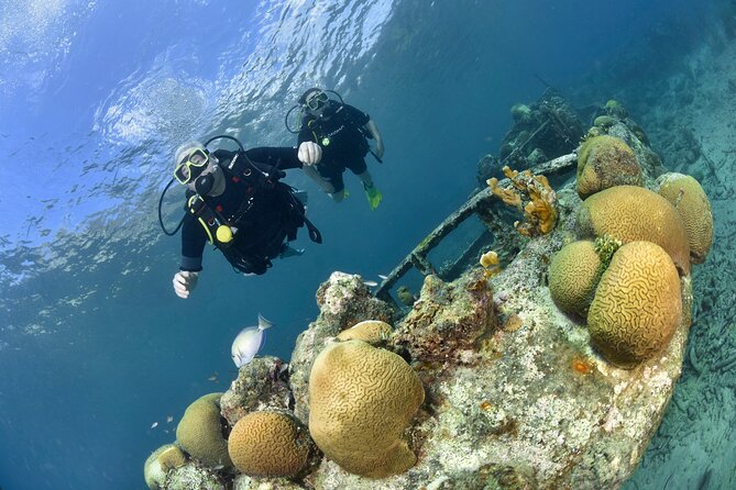 Discover Scuba Dive in Curacao - An In-Depth Look at Discover Scuba Dive in Curacao