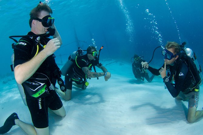 Discover Scuba Dive in Curacao - The Sum Up: Who Should Book This Experience?