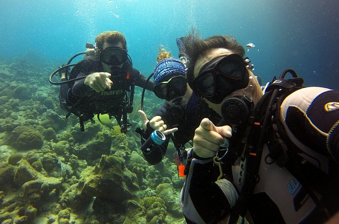 2 tank guided dive House Reef (Pierbaai Reef and Car Pile) - FAQ