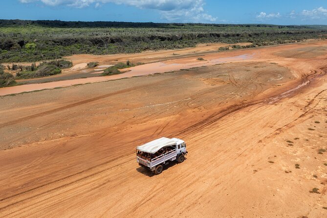 Snorkel Safari Tour - The Sum Up: Is This Tour Right for You?