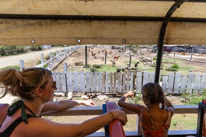 Snorkel Safari Tour - FAQs