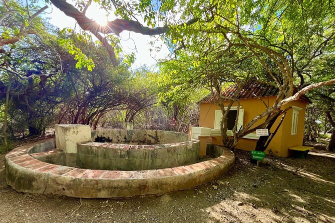 Guided Art Heritage Nature Tour - Why This Tour Offers Real Value