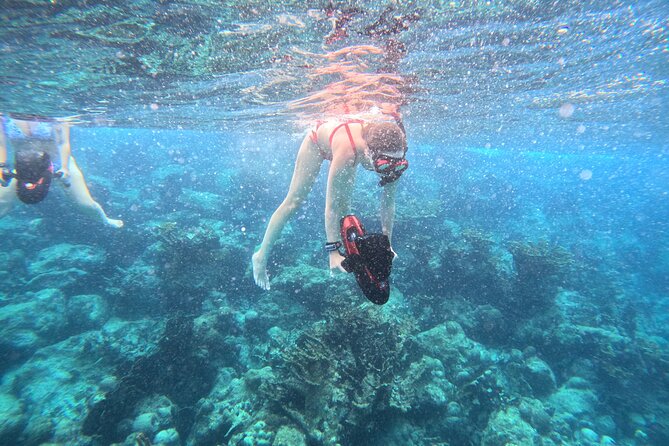 Curacao Reef Sublue Scooters Experience - How the Tour Works