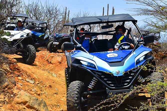2-Hour Buggy Adventure Tour in Curacao - An In-Depth Look at the Buggy Adventure Experience