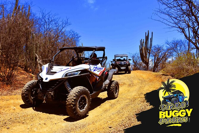 2-Hour Buggy Adventure Tour in Curacao - Who Will Love This Tour?