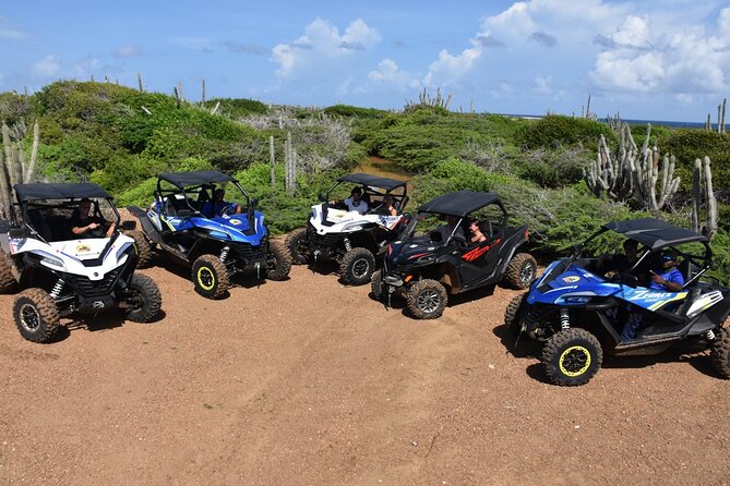 2-Hour Buggy Adventure Tour in Curacao - A Wild Ride Through Curaçao’s Natural Beauty