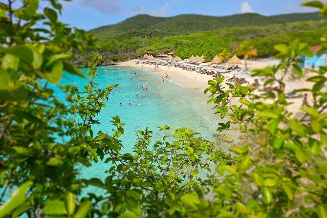 Turtle Swim at TurtleBay visit Flamingos & KnipBeach Safari Truck - Who Should Consider This Tour?