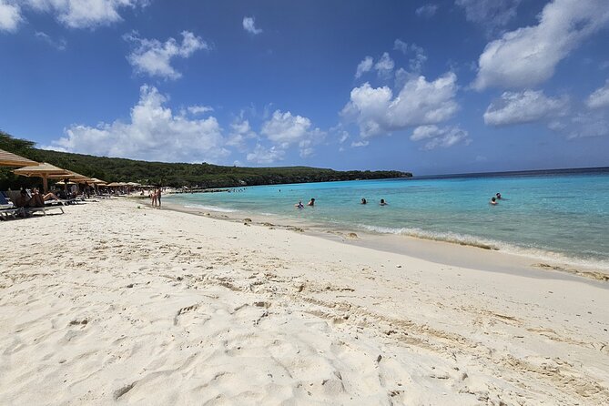 Flamingos Transparent Boat Trip and Chill at Beach (Private Trip) - Cost and Value Analysis