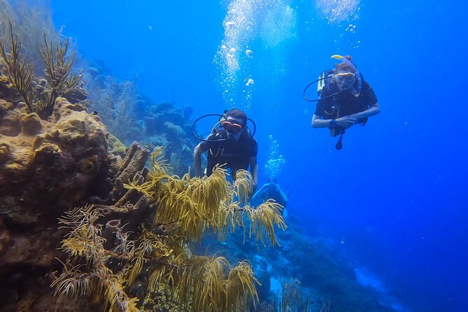 Two and a Half Hours Scuba Diving Experience in Curacao - Frequently Asked Questions