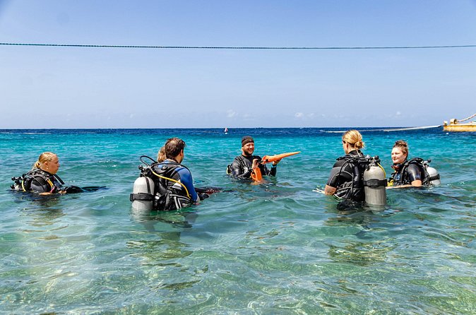 Two and a Half Hours Scuba Diving Experience in Curacao - Who Should Consider This Experience?
