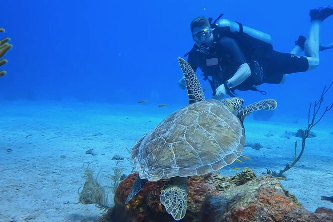 1 DPV dive at Director's Bay in Curacao - An In-Depth Look at the DPV Dive Experience in Curacao