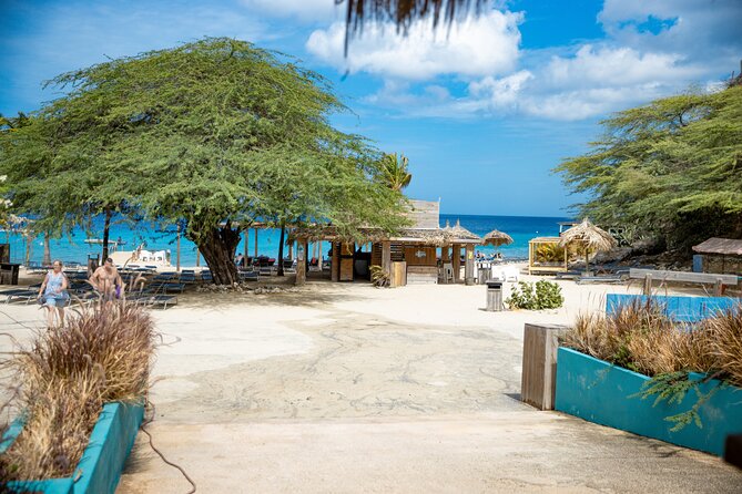 UTV Buggy and Snorkeling Tour in Willemstad Curacao - What Our Reviewers Say