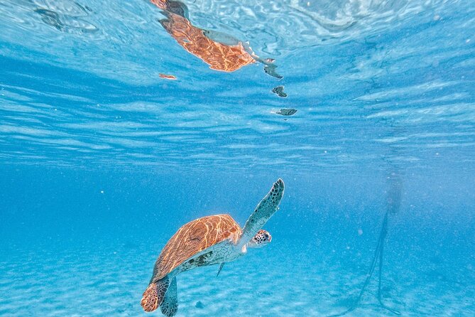 Hato Caves, Turtles & Beach - The Sum Up