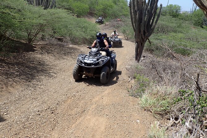 Curacao Half Day or Full Day ATV West Adventure Tour - Final Thoughts: Is It Worth It?