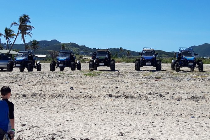 Electric Adventures Buggy Rental - Who Will Love This Tour?