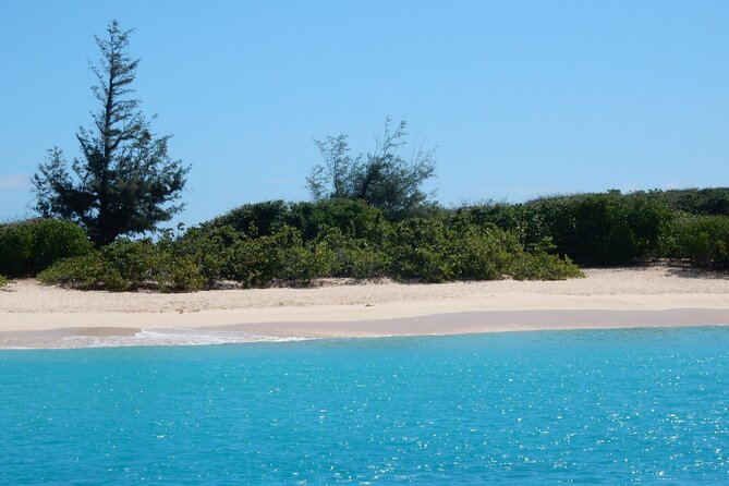 Private Full-Day Catamaran Sailing Charter in St Maarten - Price and Value: Breaking It Down