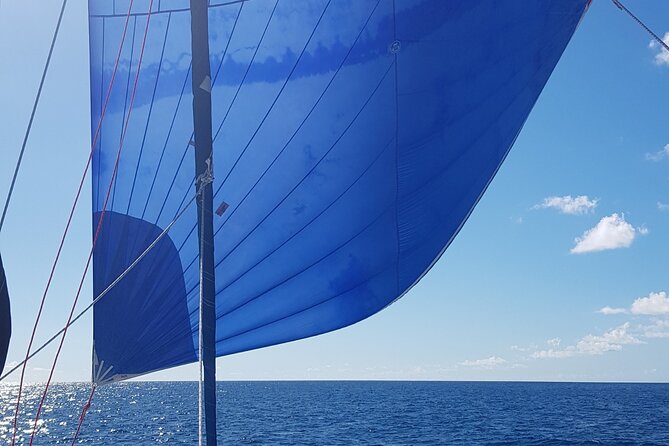 Private Full-Day Catamaran Sailing Charter in St Maarten - Considerations and Practical Tips