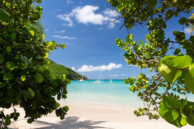 Full Day Private Shore Tour in St Maarten from Philipsburg Port - FAQs