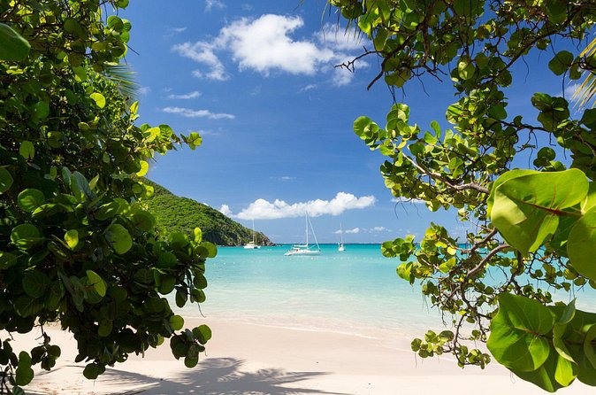 Full Day Private Shore Tour in St Maarten from Philipsburg Port - Analyzing the Value