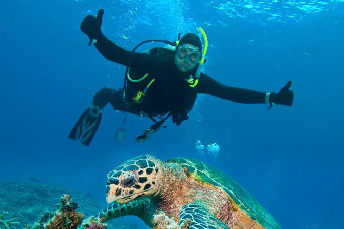 St Maarten Scuba Diving for Certified Divers - What You Can Expect from the Tour