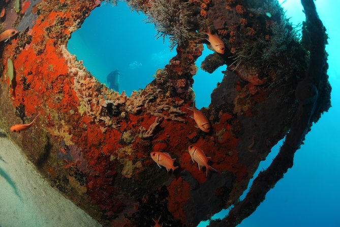 St Maarten Scuba Diving for Certified Divers - In-Depth Look at the Experience