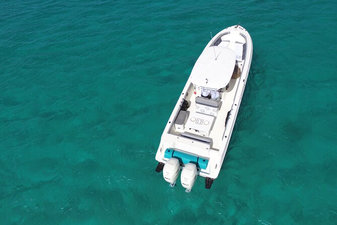 Full Day St Martin Private Charter Tour - Who Should Book This Tour?