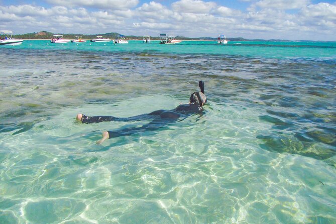 Private Tour Snorkeling in Saint-Martin - Who is This Tour Best For?