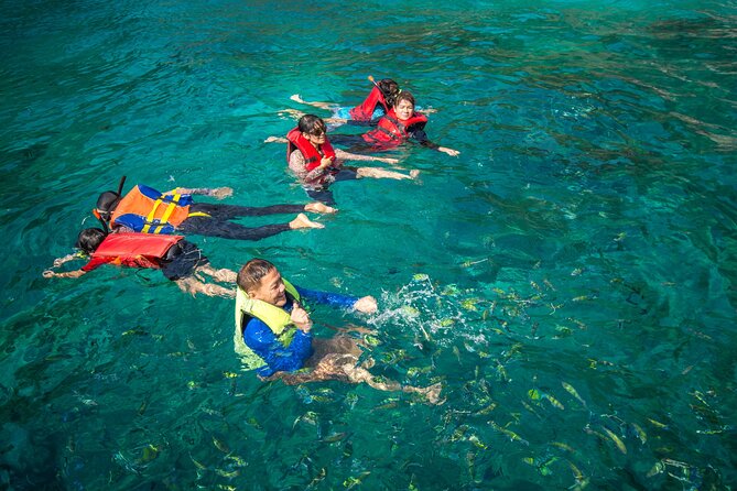 Private Tour Snorkeling in Saint-Martin - Experience the Best of Saint-Martin with a Private Snorkeling Tour