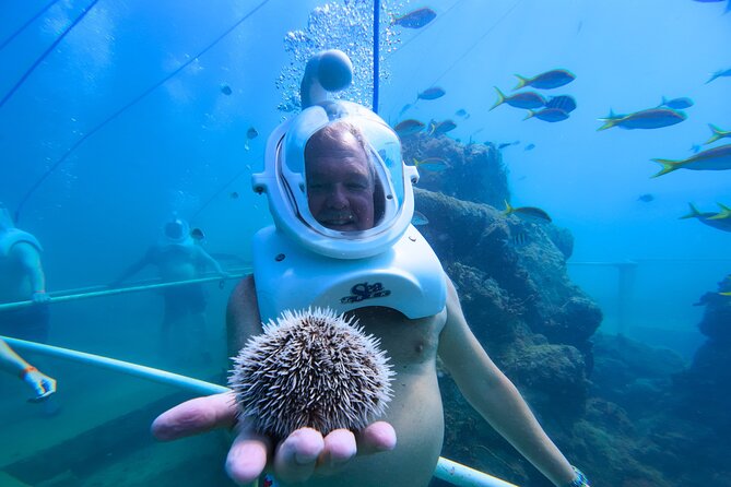 SeaTrek Tour St. Maarten - An In-Depth Look at the SeaTrek Tour in St. Maarten