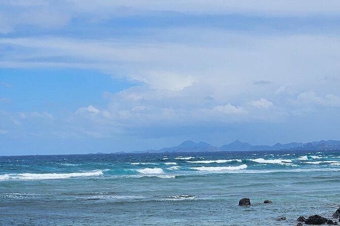 Celebrity Island Adventure Tours - Exploring the Details: A Thorough Review of Celebrity Island Adventure Tours