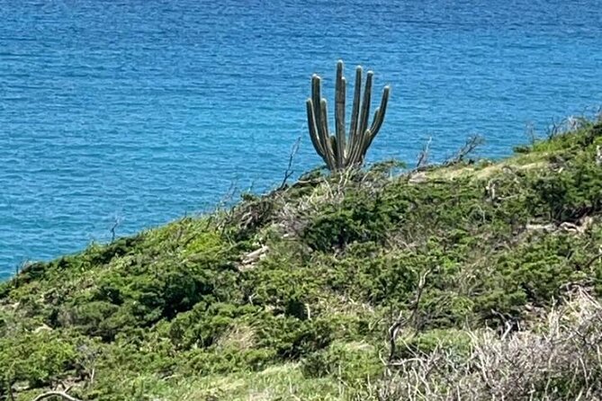 Celebrity Island Adventure Tours - FAQ