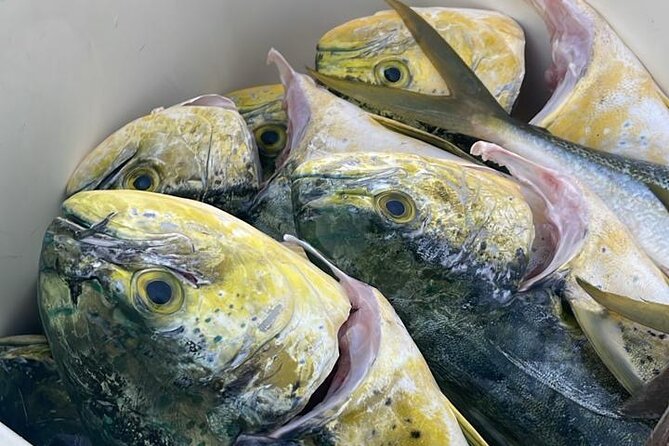 Fishing in Style - Value and Practical Considerations