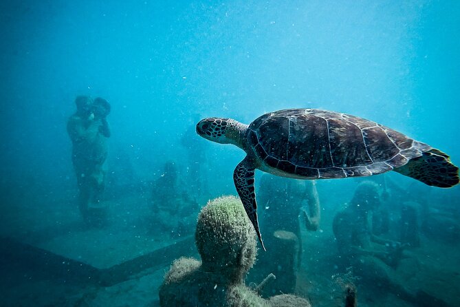 The Original Underwater Sculpture Park Snorkel Tour - Who Is This Tour Best For?