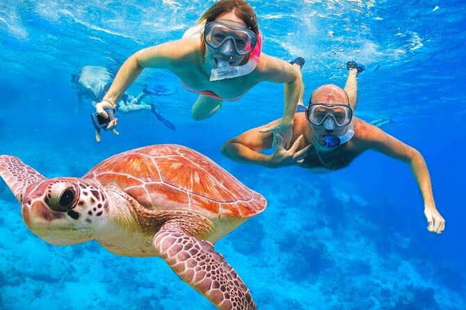 St.Maarten Nature, Hike & Snorkeling - Discover the Natural Charm of St. Maarten with a Hike, Snorkel & Beach Day