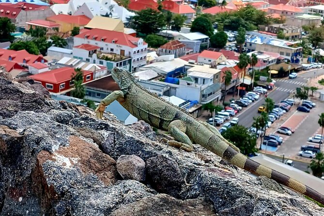 St. Maarten/Saint Martin Island Tour - FAQs