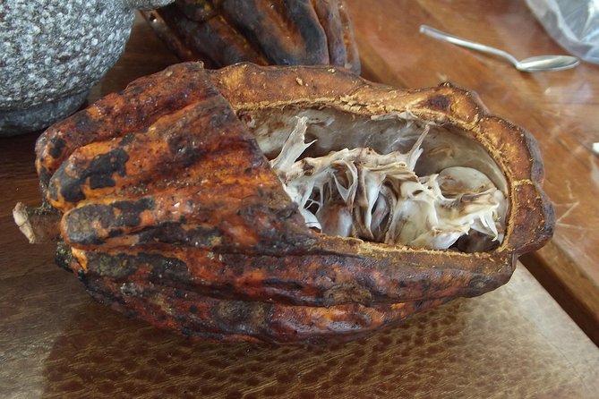 Mindo Cloud Forest (PRIVATE Day Trip from Quito) - Detailed Analysis of the Tour Components