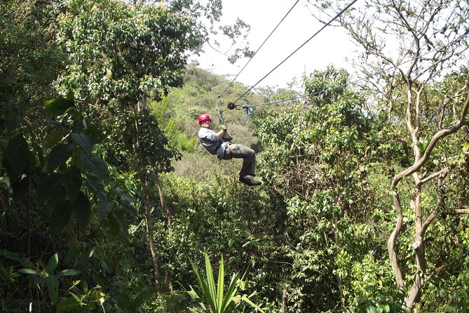 Mindo Cloud Forest (PRIVATE Day Trip from Quito) - Authentic Traveler Insights