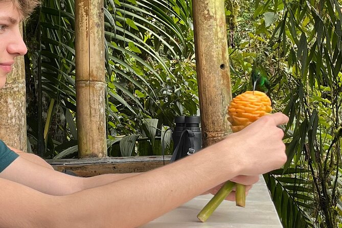 Mindo Cloud Forest & Middle of the World Tour from Quito - Exploring Quito’s Natural and Geographic Wonders