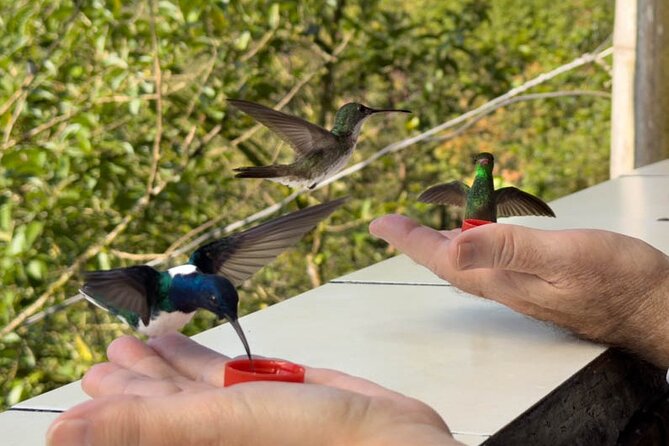 Mindo Cloud Forest & Middle of the World Tour from Quito - Key Points