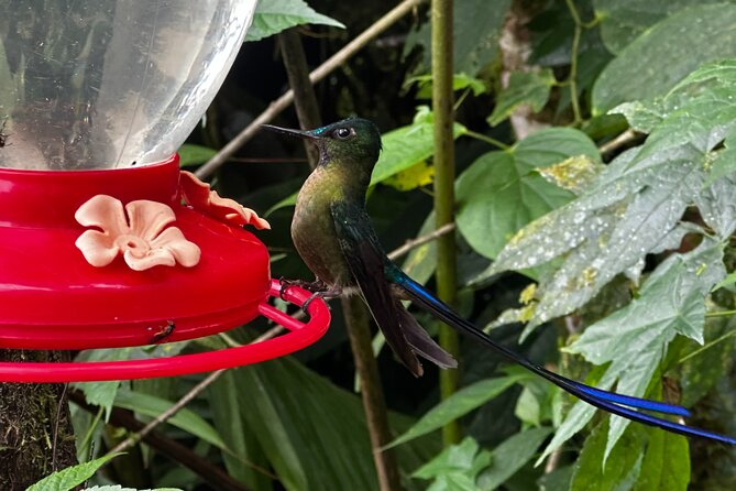 Mindo Cloud Forest & Middle of the World Tour from Quito - Who Should Consider This Tour?