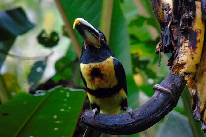 Mindo Cloud Forest & Middle of the World Tour from Quito - Final Thoughts