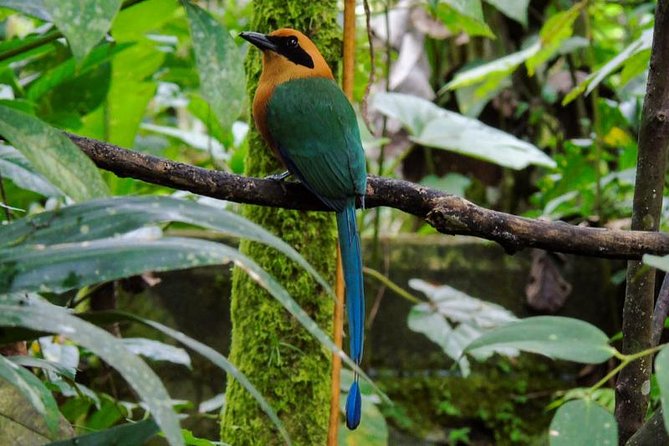 Mindo Cloud Forest & Middle of the World Tour from Quito - FAQ