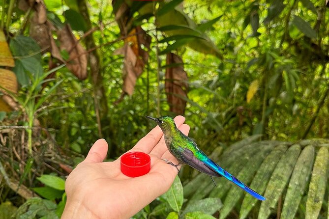 Mindo Cloud Forest & Middle of the World Tour from Quito - A Perfect Blend of Nature and Geography: Mindo Cloud Forest & Middle of the World Tour from Quito