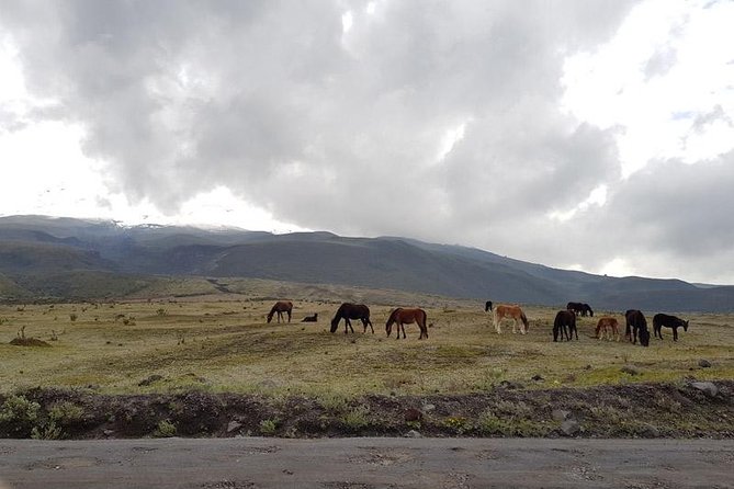 Cotopaxi Bike Tour from Quito  Explore the Volcano by Bike - The Sum Up