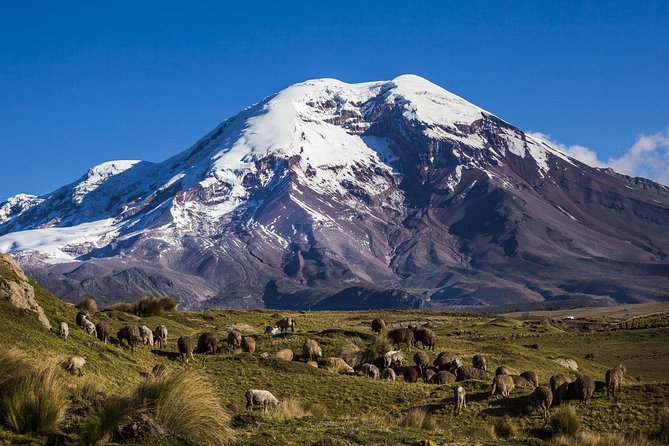 Adventure in Chimborazo: Hiking and Ascent from Quito - The Itinerary: What to Expect Each Step of the Way