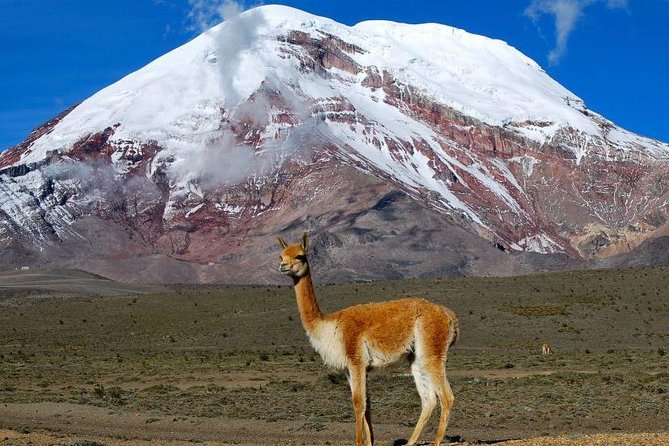 Adventure in Chimborazo: Hiking and Ascent from Quito - Authenticity and Practical Tips