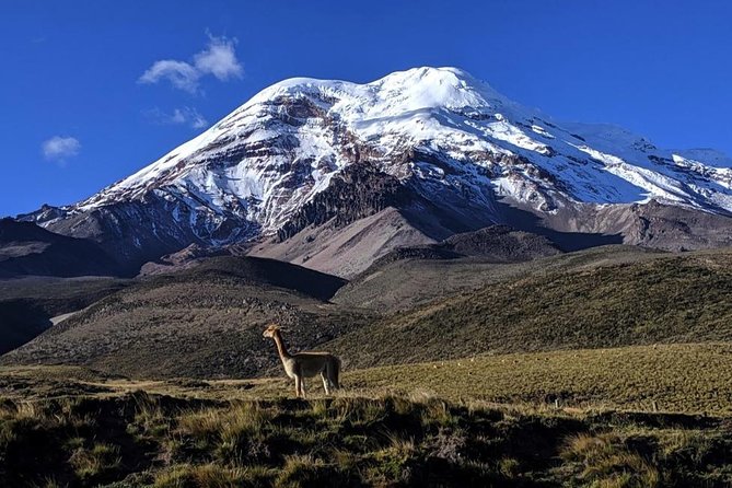 Adventure in Chimborazo: Hiking and Ascent from Quito - Final Thoughts: Is This Tour Right for You?