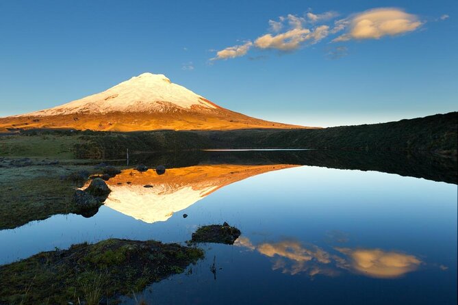 Cotopaxi Volcano and Colonial Farm Day Trip - A Deep Dive into the Cotopaxi Experience